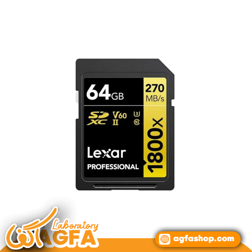Gold 64Gb